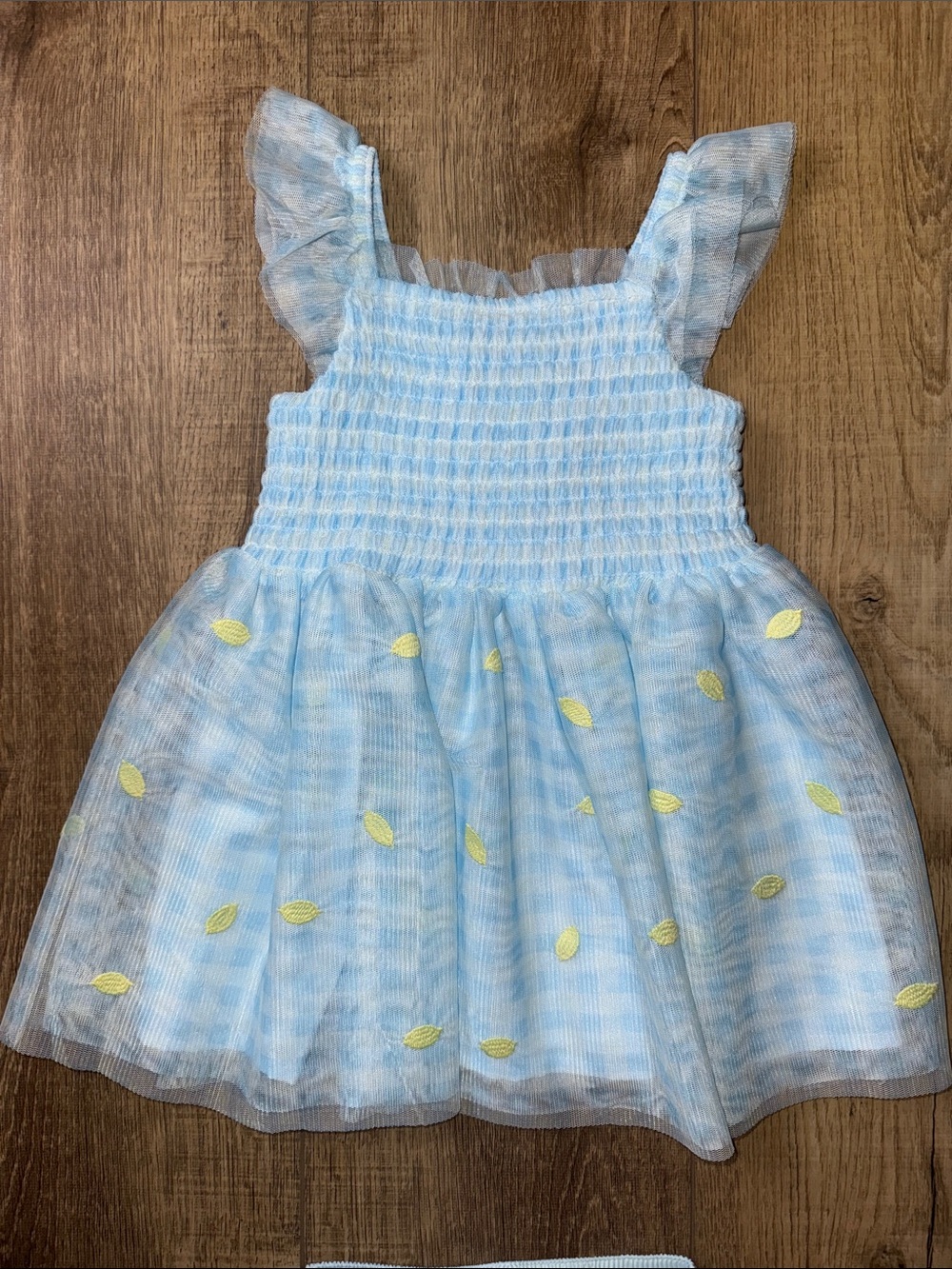 Cat & Jack Pale Blue Checkered Smocked Tulle Dress with Yellow Lemon Details